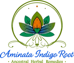 aminataindigoroot.com