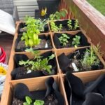 Home img 20251016 152448 (6)