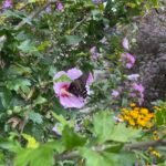 Home img 20251016 152448 (9)